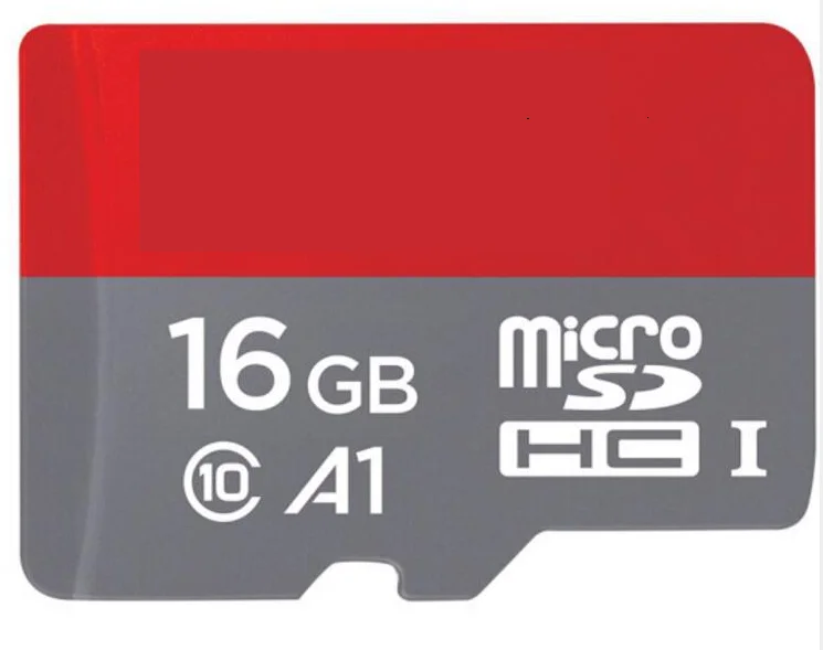 SD Memory Card