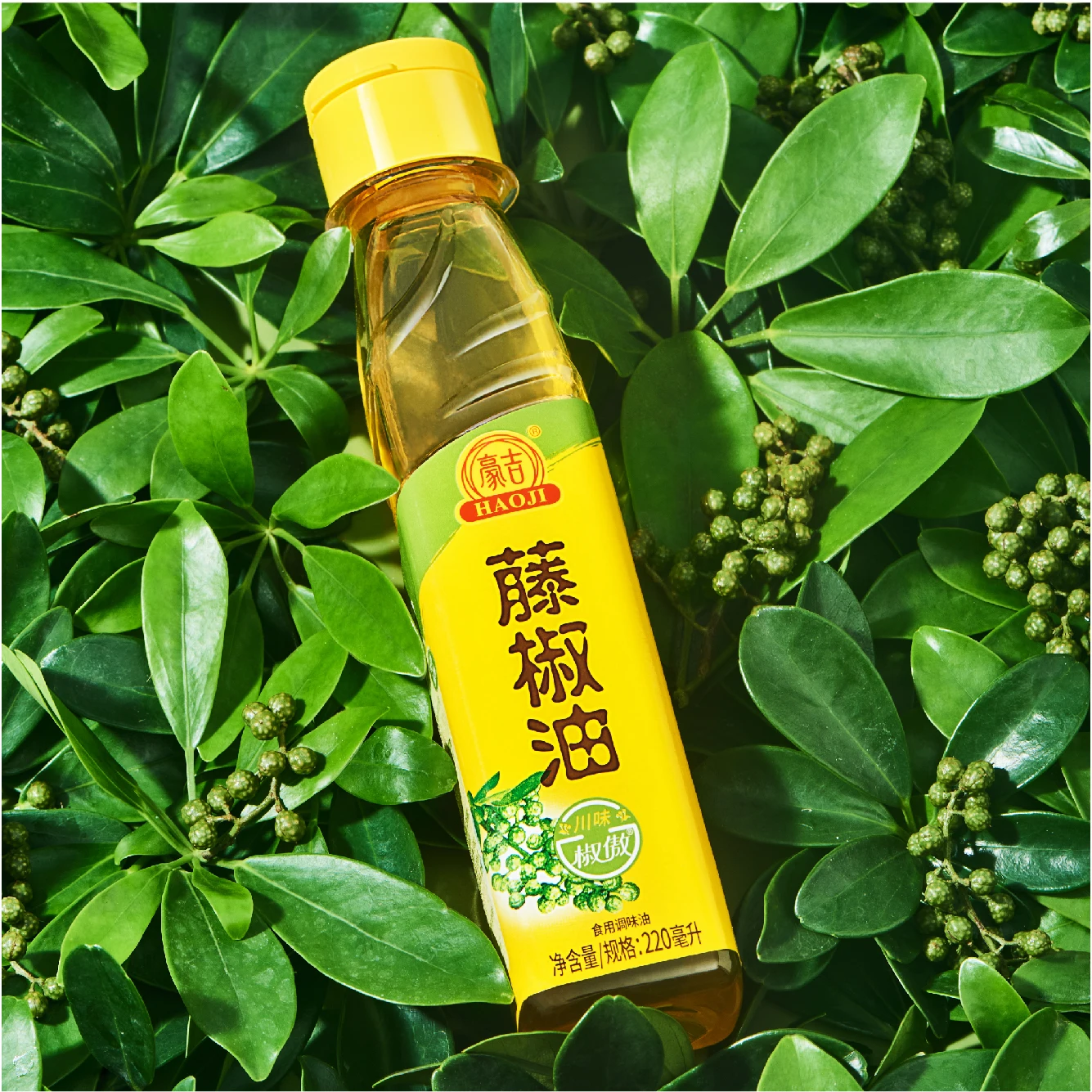 Haoji хороший вкус оптовая продажа ведущий бренд Лучшая цена частная торговая марка сычуаньская кухня ротанговое масло пищевая приправа