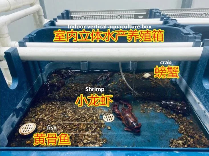Swimming Crab House Indoor Recirculating Chinese Manufacturer G&N Unique RAS system
