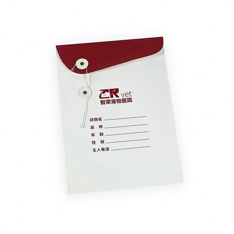 
Hard cover A3 A4 12 13 24 36 48 pockets colorful pp leather manila paper cardboard expanding file folder expandable organizer 