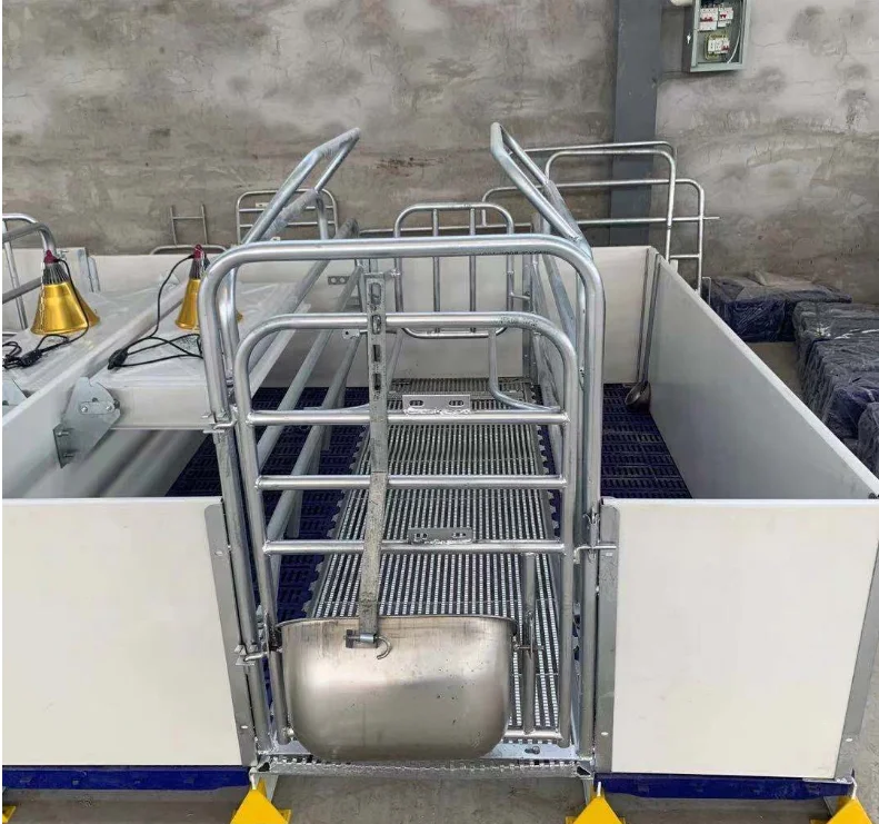 European Style Cerdos Cerda Farrowing Crates Room Cages Pen With Low Price For Large Animals Farm
