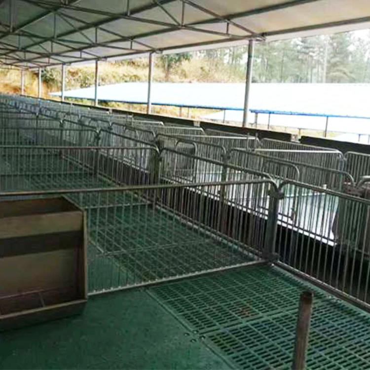 Best Galvanized Pig Weaner Nursery Crate Piggery Farm Equipment Piglet Cages Pig Pen Design for Sale