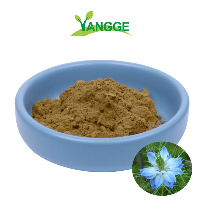 
Black Seed powder Nigella sativa extract powder nigella sativa extract powder 