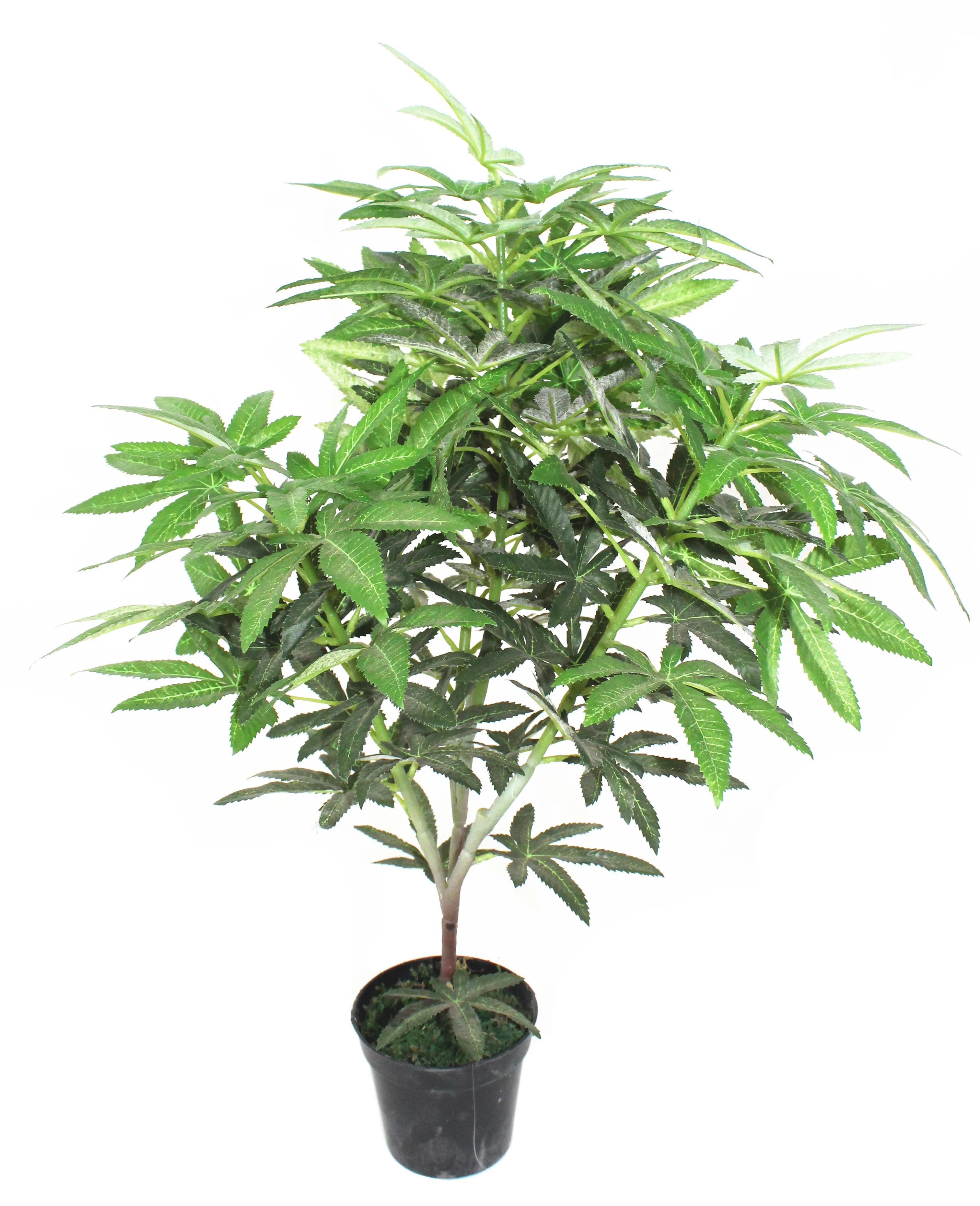 Wholesale Artificial cannabis plant plastic cannabis plant