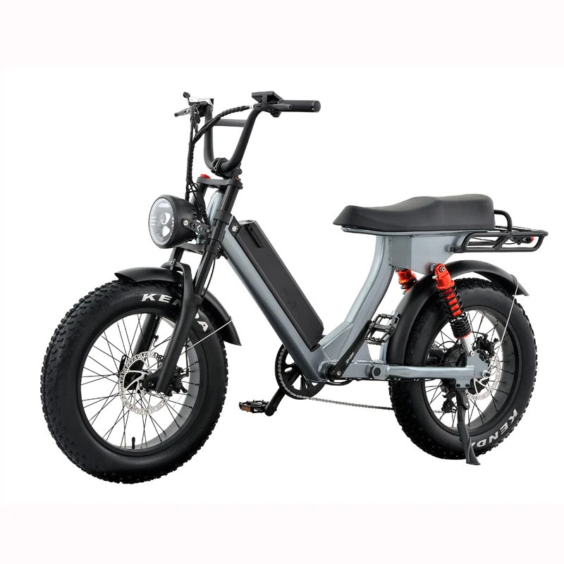 2023 Hot Selling Chinese Electric Bike Electric Bicycle Folding Electric City Bike