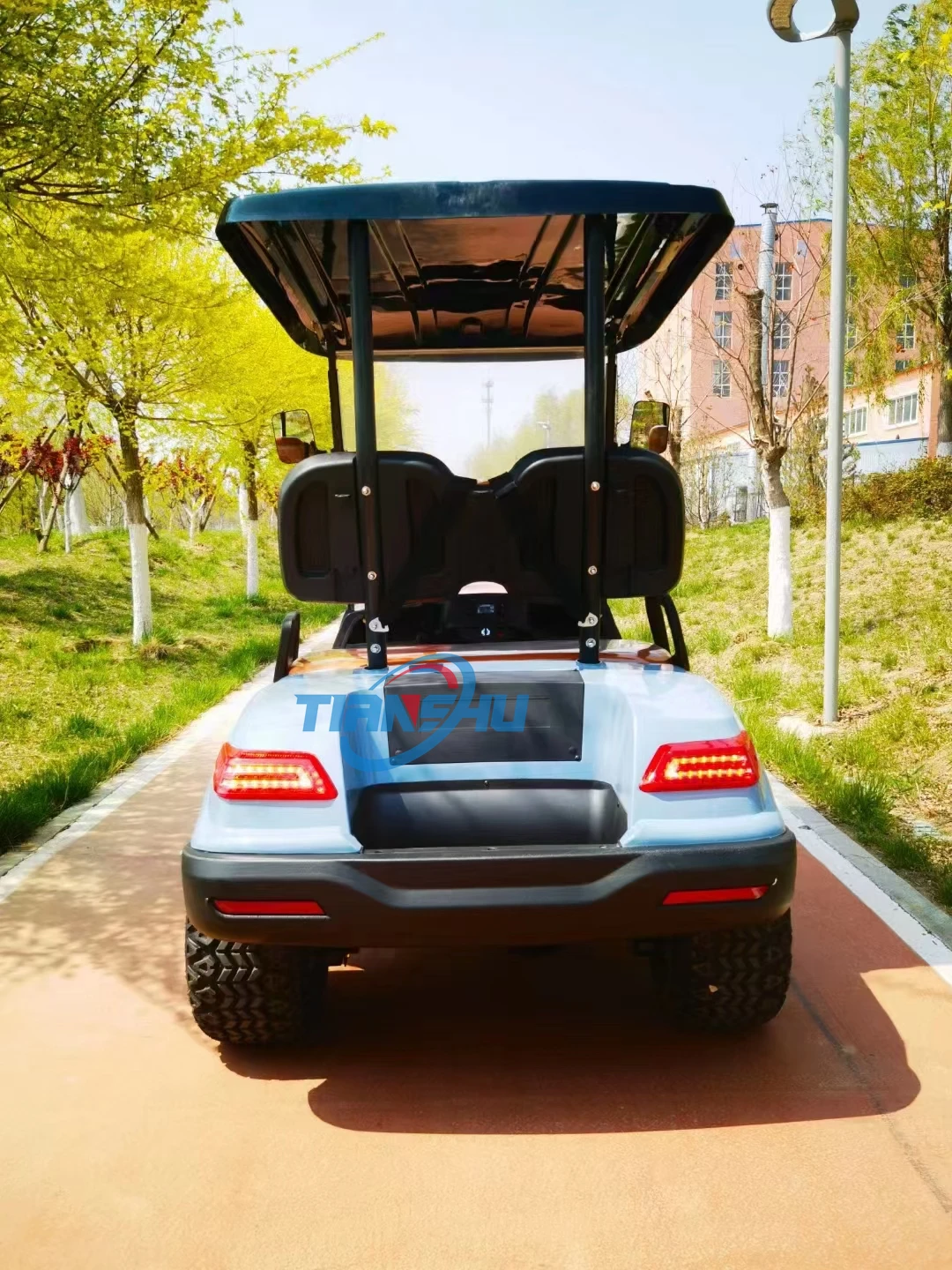 Tianshu Ce Gasoline golf cart with Oil Cooler 2 seat Gas 300CC Oil Cooler Steel Free custom logo 15L Fuel tank capacity
