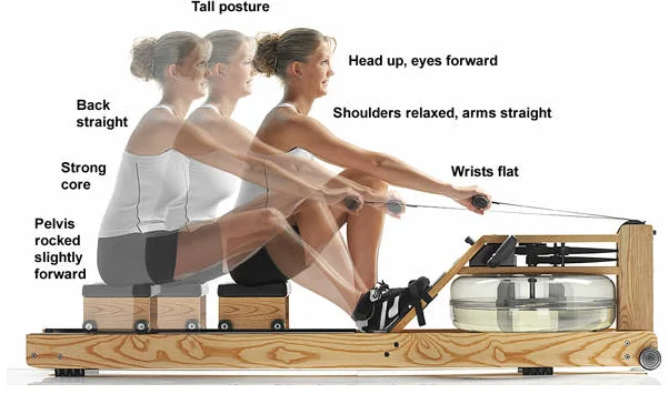 Wholesale manufacture Foldable Wooden Rower  Machine Cardio Machine Water Rowing machine