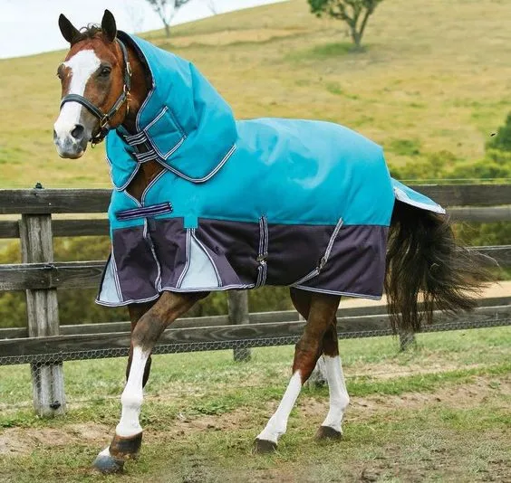 High Quality Equestrian 1200D Waterproof Breathable Combo Turnout Horse Rug Horse Racing Supplies Horse Blanket White Winter GUA