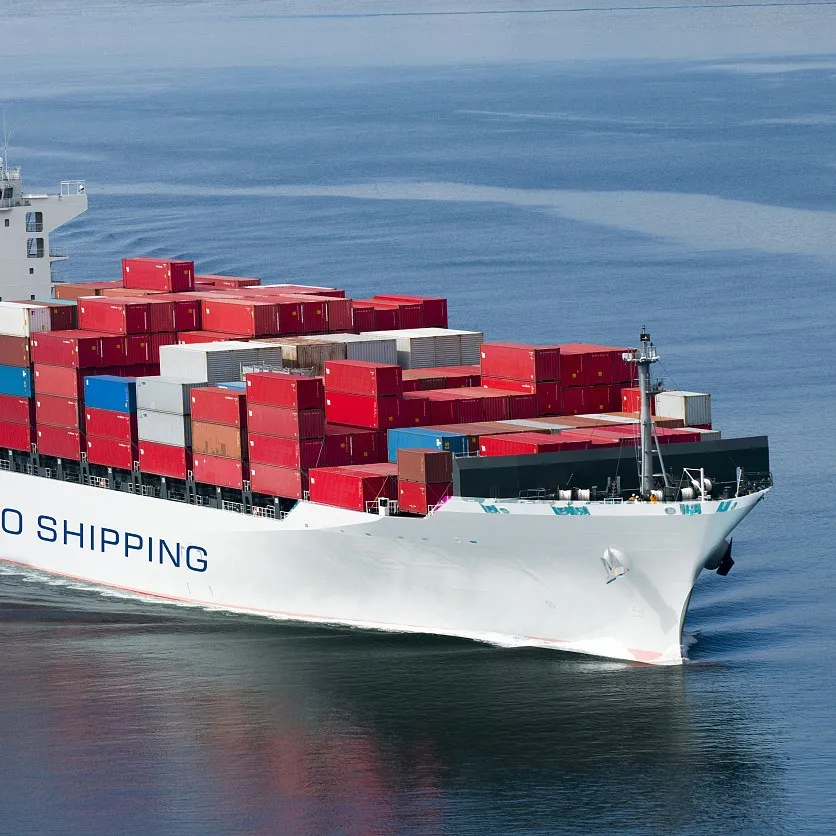Drop Sea Freight Shipping Service Door to Door Service China to Indonesia Malaysia Singapore