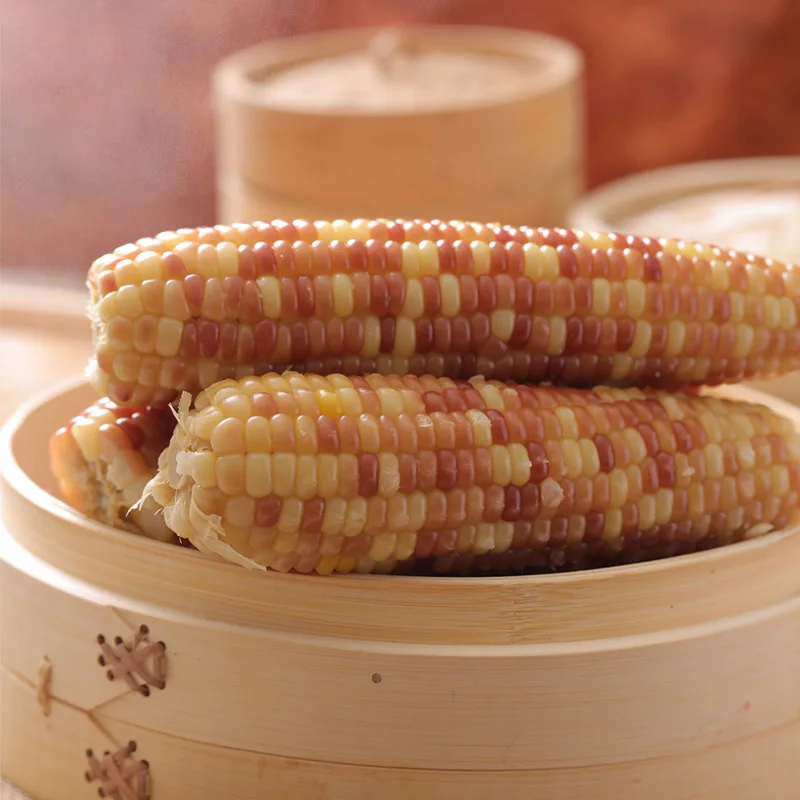 Fresh Non-GMO Mottled Glutinous Sweet Corn from China Healthy Snacking Option