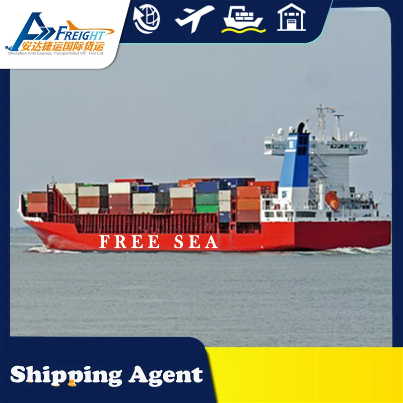 Miami Cheapest Freight Houston From China Bangladesh USA Sea Shipping To Door
