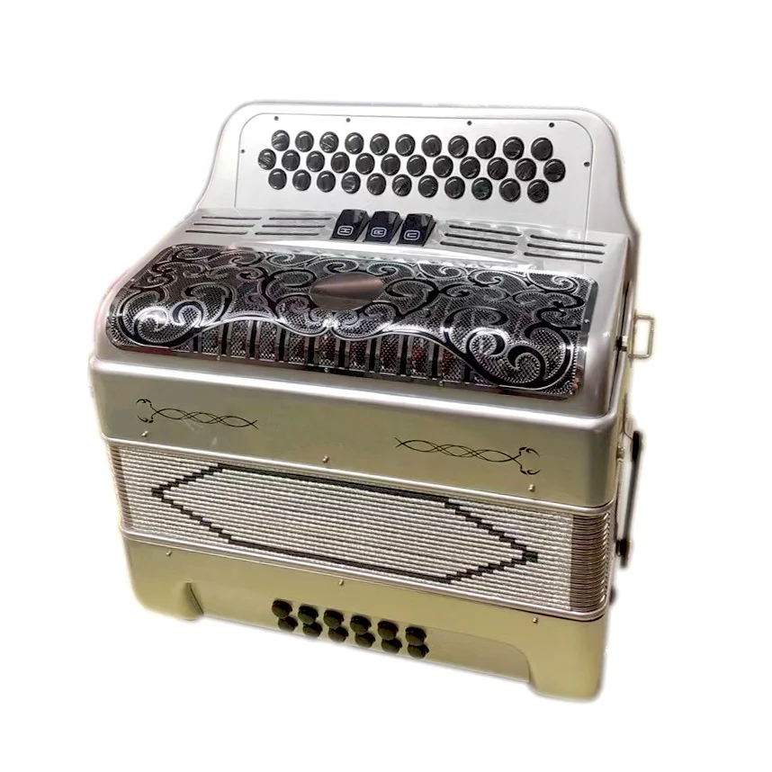 Seasound Factory 34 Buttons 12 Bass 3 Register Silver Student Accordion Accordions Musical JB3412C