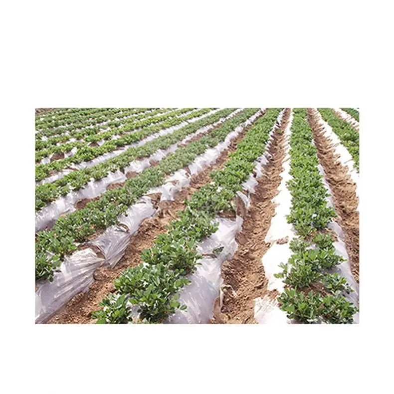 Wholesale Good Quality Greenhouse Film Agricultural