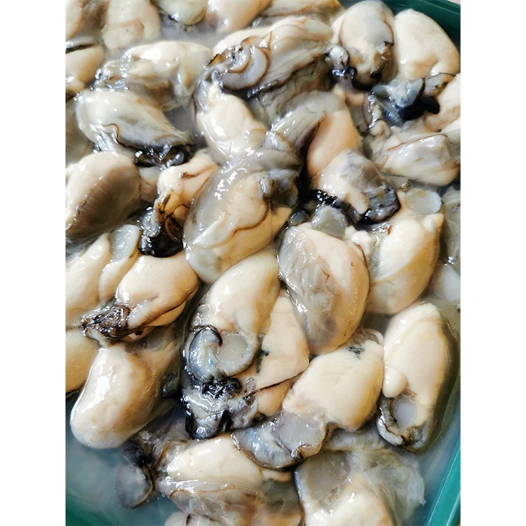 Wholesale Top Quality Seafood Supplier Frozen Oysters With Shell