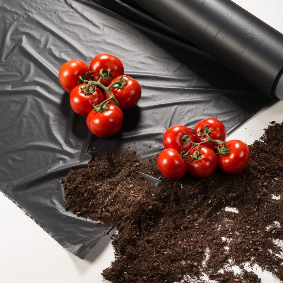 Plastic Mulch Agricultural Film pe film for farm
