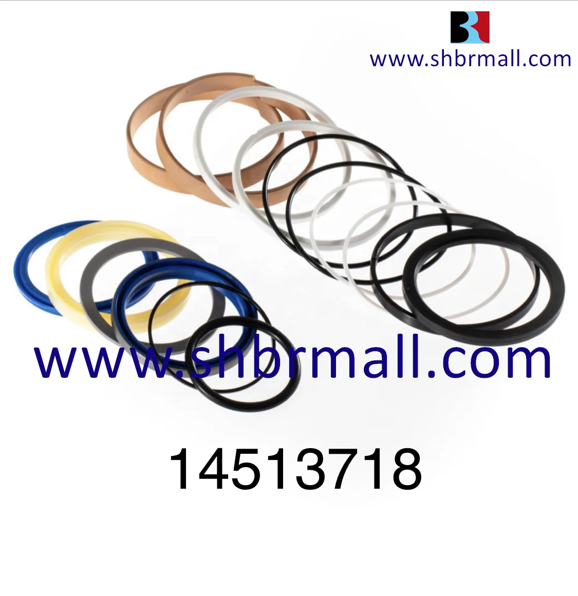 Complete Hydraulic Cylinder Seal Kits for Volvo Excavator/14513718