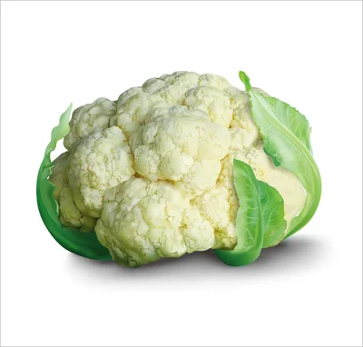 New varieties of factory direct sales big flower nutrition delicious cauliflower, looking forward to your purchase