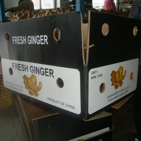 Sinofarm Wholesale price laiwu fresh ginger supplier /thin ginger / fat ginger