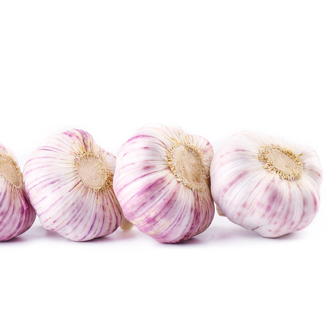 Wholesale Fresh Garlic Low Price Are Fruits and Vegetables Can Be Used As Seeds