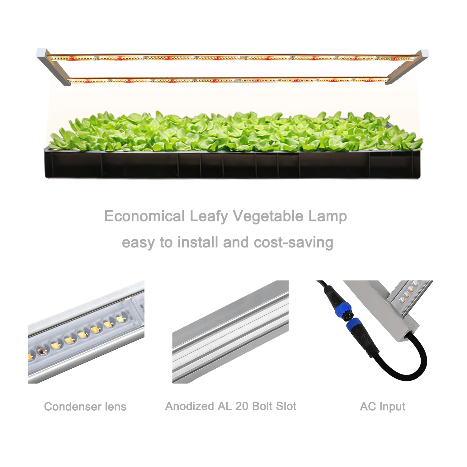 Microgreens LED Grow Light Indoor Vertical Farm 60W Lens increasing PPFD