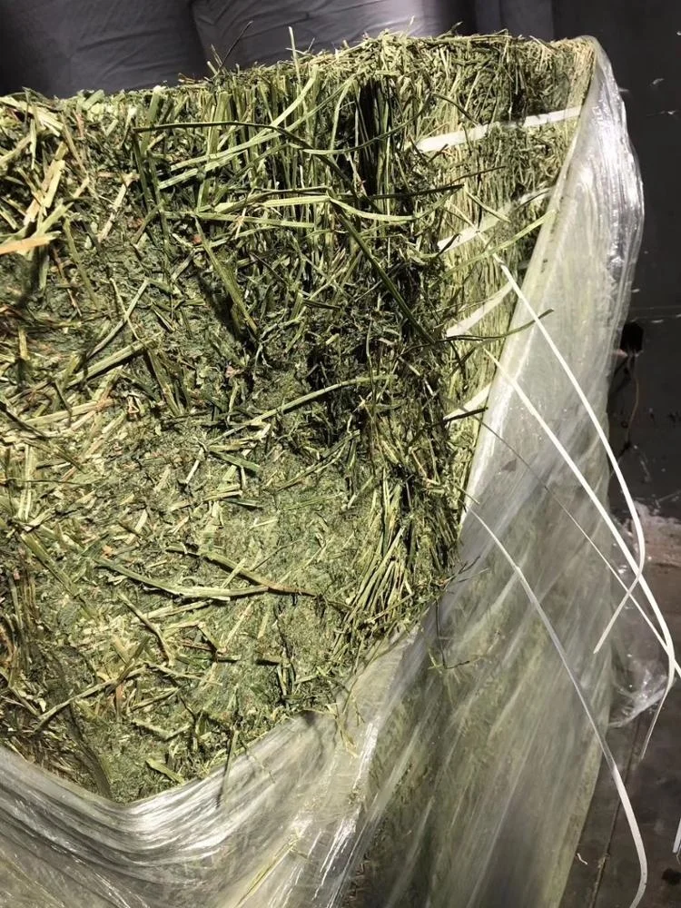 
Good Alfalfa Hay/ Timothy Hay/ Lucern in Bales 