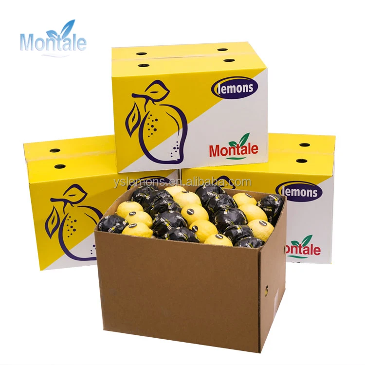  Свежий лимон высокого качества от Anyue Lemon