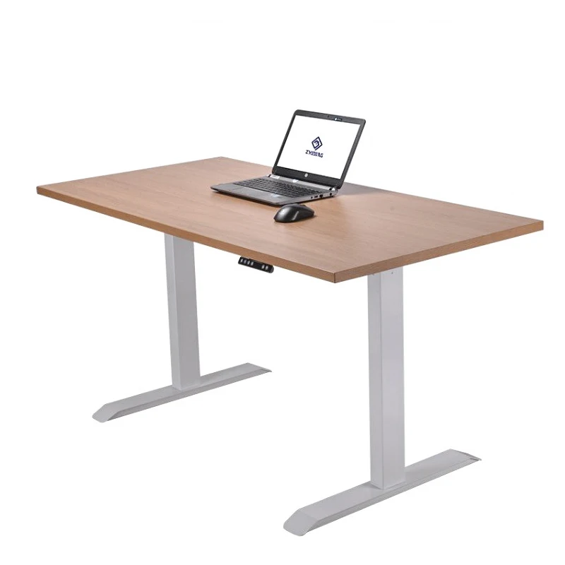 Standing Desks Raise Electric Ergo Sit Stand Height Adjustable Desk