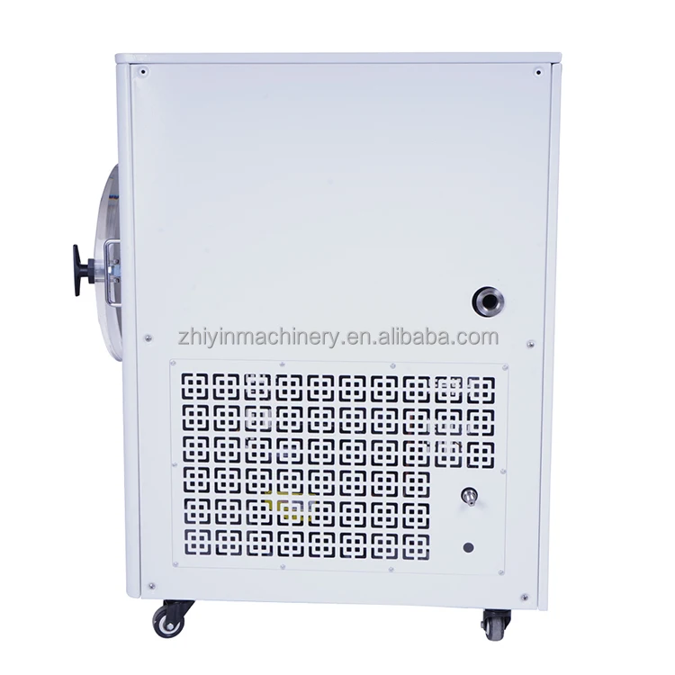 Multifunctional Small Fruit Freezing Machine Household Laboratory Vacuum Lyophilization Machine