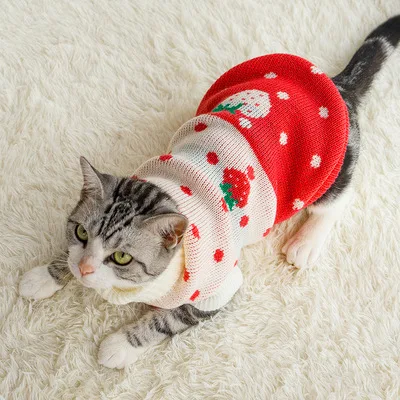 2021 New Design Strawberry Sweetheart Cute Warm Girl Dog Clothes Knitted Dog Dress Pet Sweaters Clothes