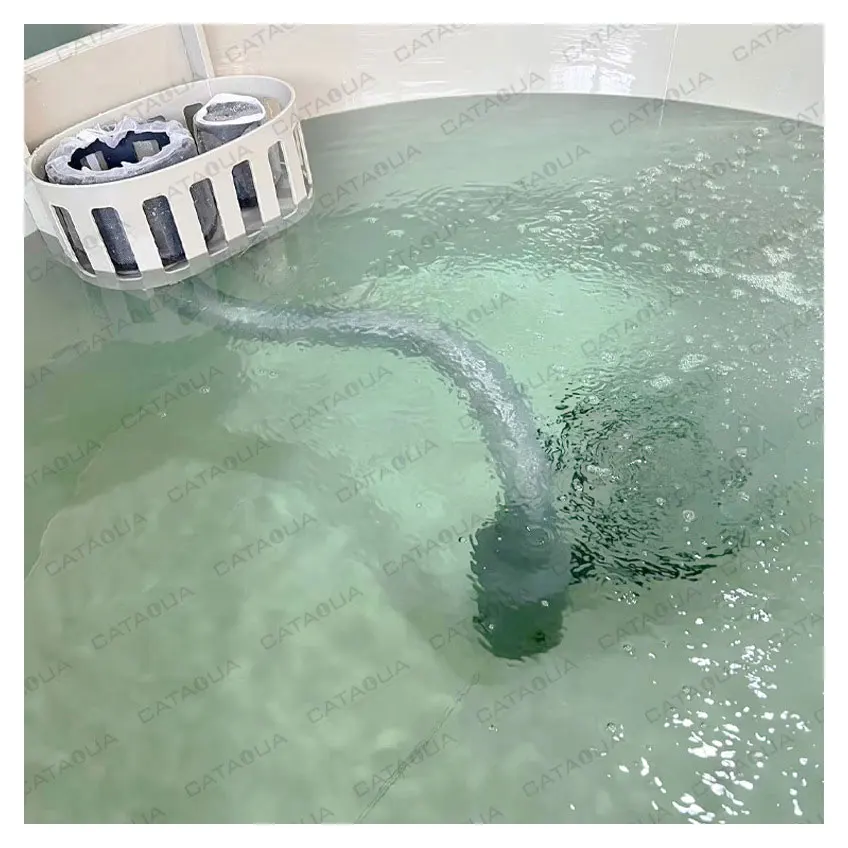 CATAQUA RAS Aquaculture Systems For Shrimp Farm Equipment Vannamei Shrimp Farming System