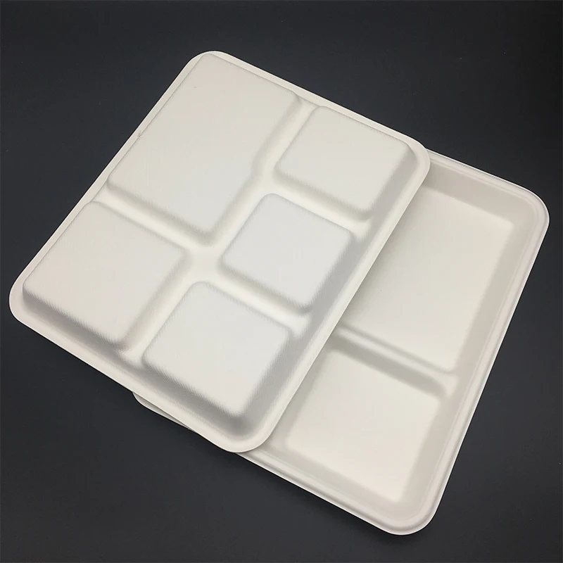 Biodegradable Bagasse Tableware 5 Compartment Food Tray Dishes Plates School Food Container