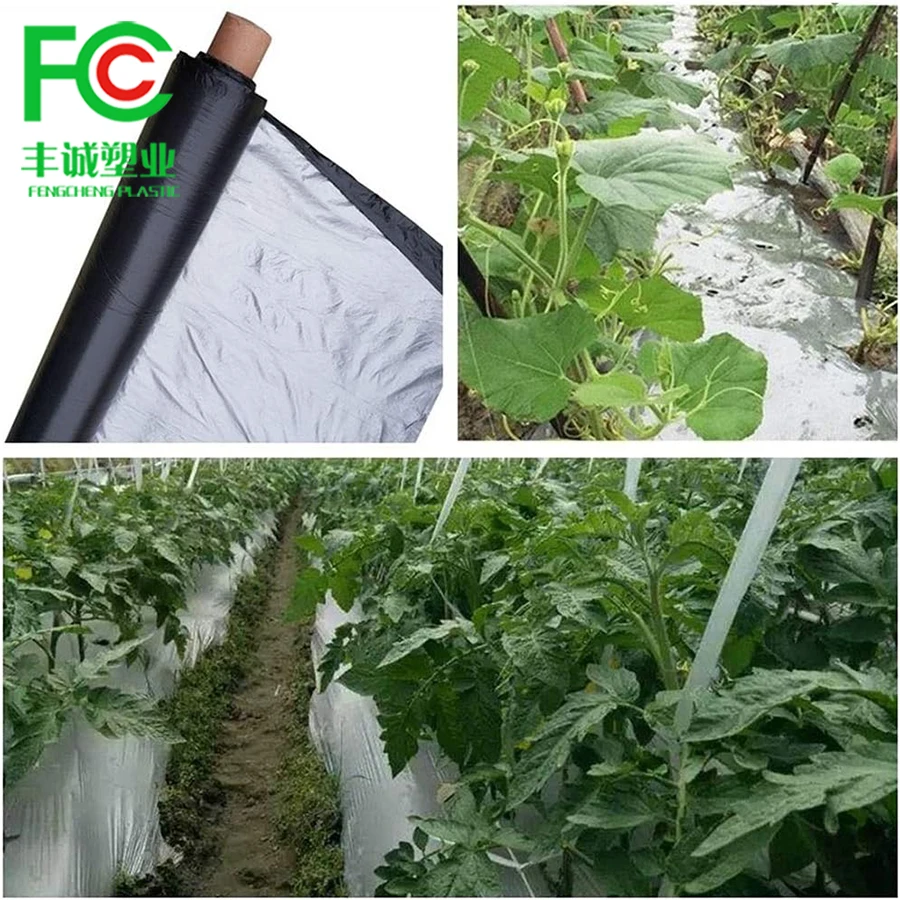 Mulch Film Greenhouse Plastic Agricultural Film Agricultural Ground Cover