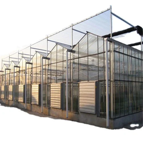 Glass multi-span greenhouse Intelligent Hydroponic Growing Systems Greenhouse from China factory