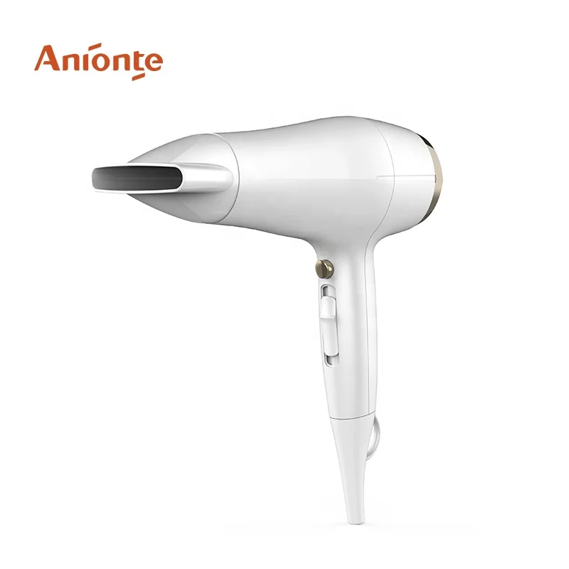Best Supplier High Powerful High quality DC motor hair dryer Ionic  Commercial Household 2 Years Plastic