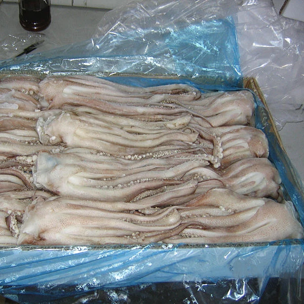 Shandong Ocean Village Food New season Factory Price Squid Tentacle Illex Squid Tentacle