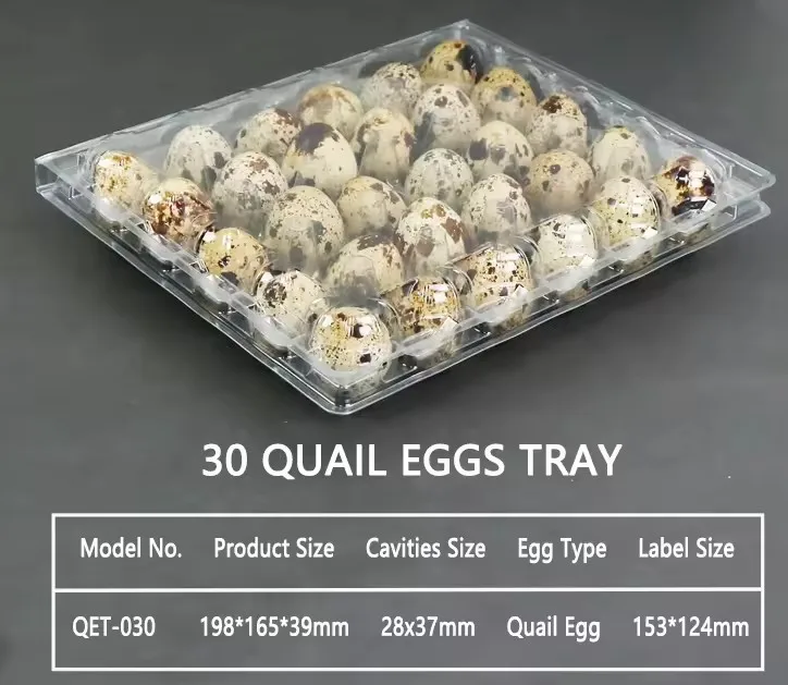 30 Cells Plastic Quail Tray Egg Packaging Packing For Eggs Quails 30 Holes Plastic Quail Egg Cartons For Sale