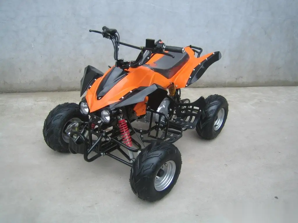 Mini ATV for Adult and Children Good Quality Quad Atv 110CC 125cc 4-stroke OEM 250cc 48V Automatic 250cc Quad Bike /atv ECE 2WD