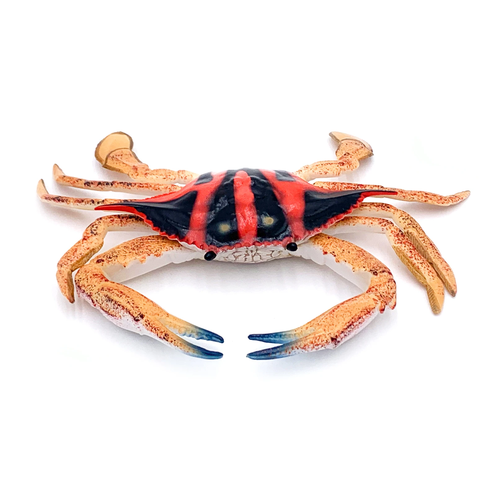 Realistic High-Quality PVC Plastic Doll Toys For Marine Animals Realistic Eco-friendly Animals Spotted Sea Crab Toys