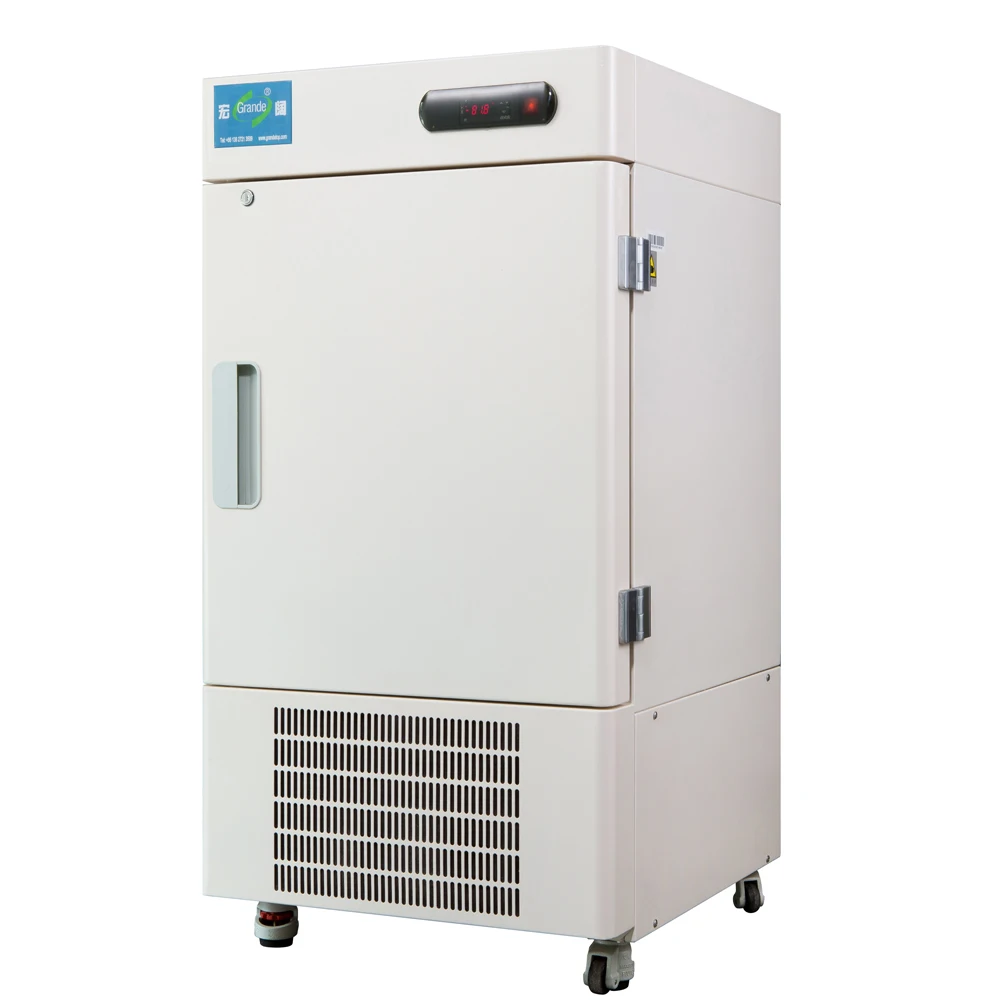 CE Certified Laboratory Medical Deep Freezer Cold Storage Chamber