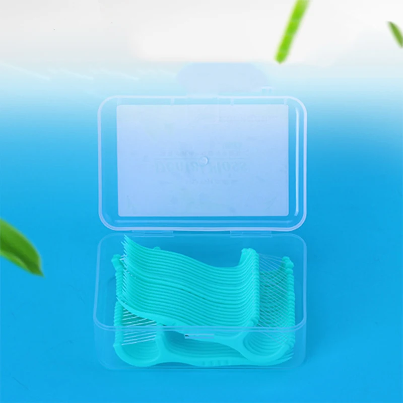 Wholesale 50pcs mint floss pick dustproof packaging home use dental flosser
