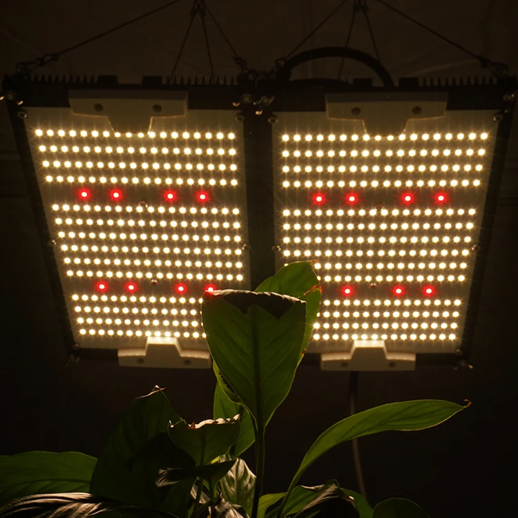 
2021 double heatsink 240w lm301h mix CREE XP-G3 660nm led grow light for indoor 