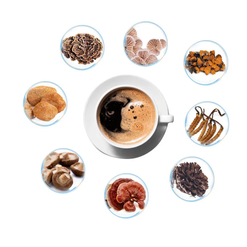 Оптовая продажа Tongkat Ali Maca женьшень Ashwagandha мгновенный кофе