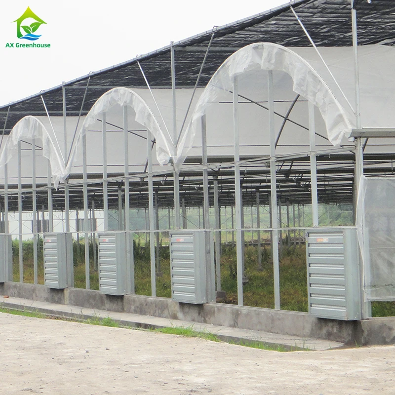 High Quality Plastic UV Resistant Film Agricultural Poly Tunnel Berry Tomato Multi-span Greenhouses For Fruit Vegetables