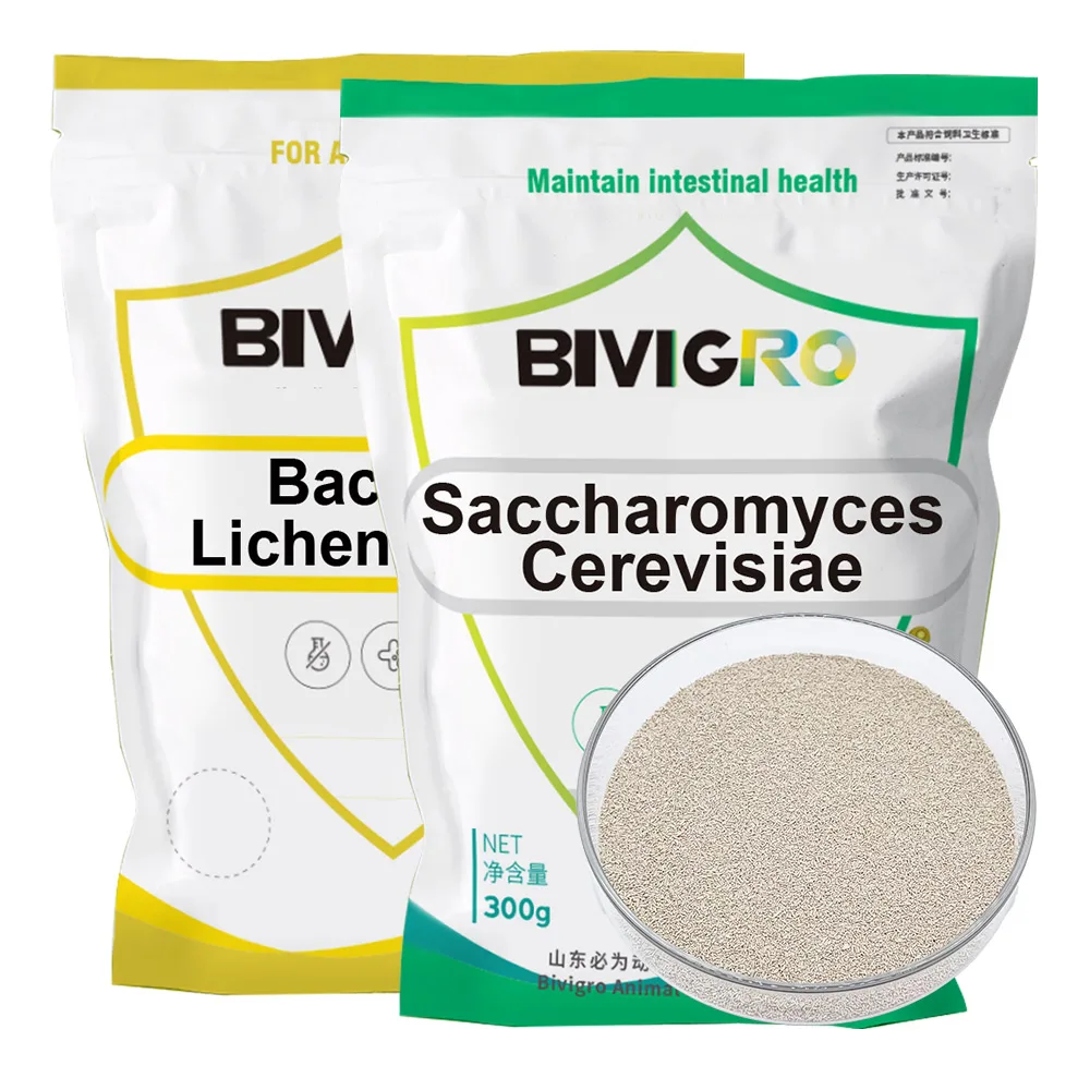 Manufacture Feed Grade Saccharomyces Cerevisiae Brewer Yeast Powder with High-Activity