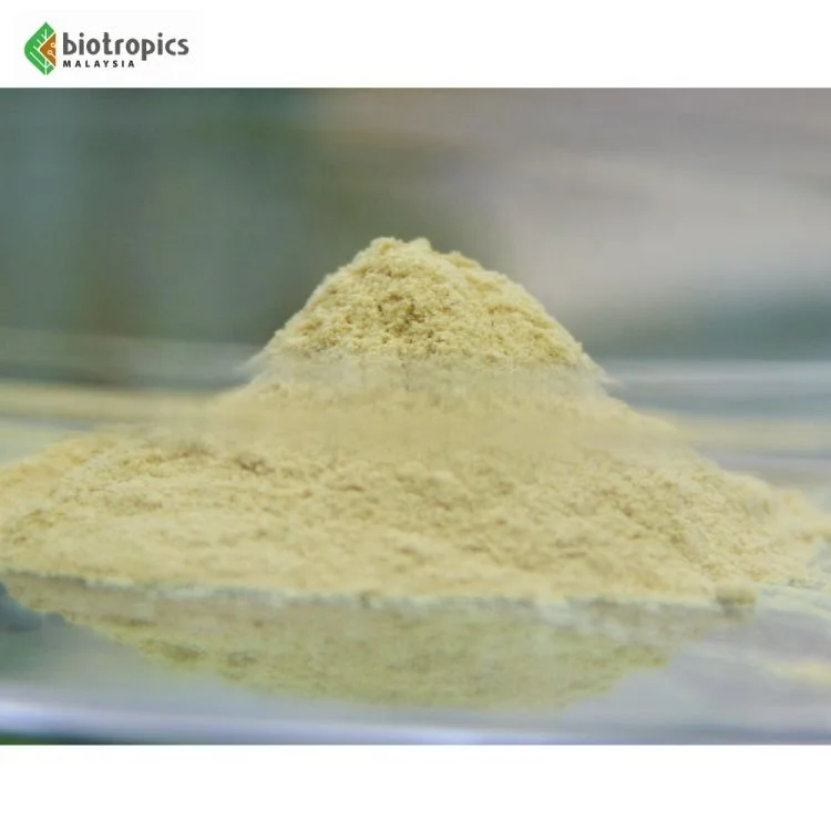 Wholesale Tongkat Ali Extract Powder for Men Health Longjack Extract Ingredient Powder Eurycoma Longifolia Herbal Powder