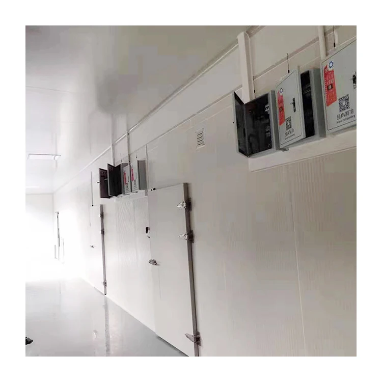  Прямая продажа с фабрики Цена Замороженные склад холодильных установок рыбы для быстрого замораживания морозильной камеры