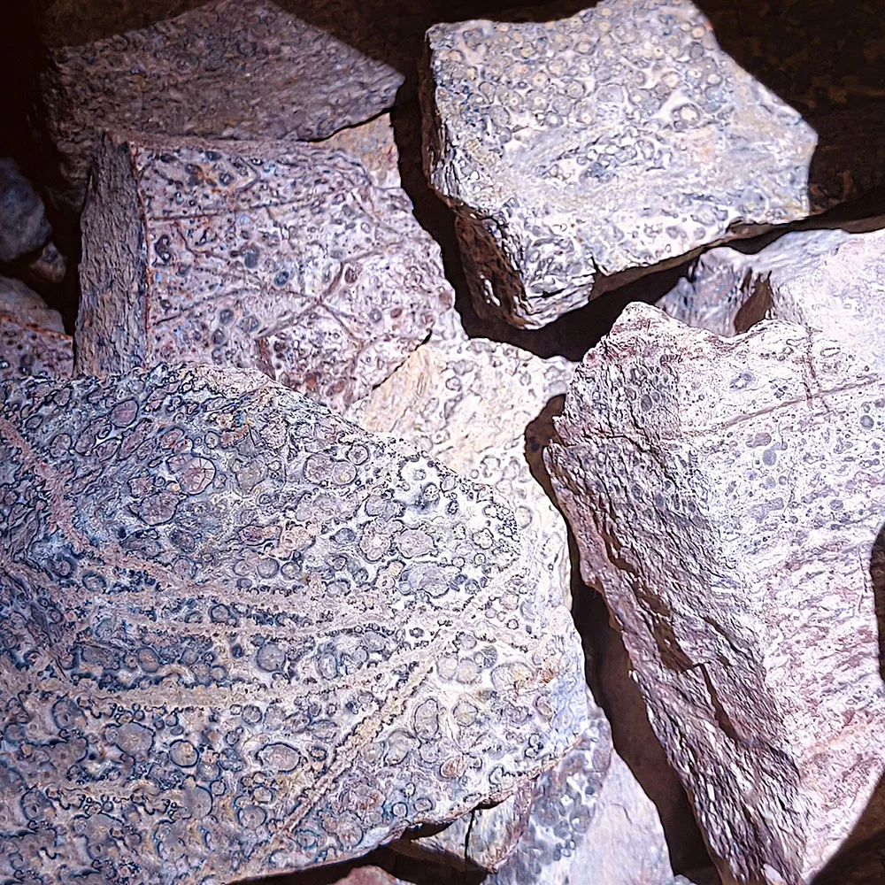 Natural high quality raw stone wholesale rough leopard stone use for products processing