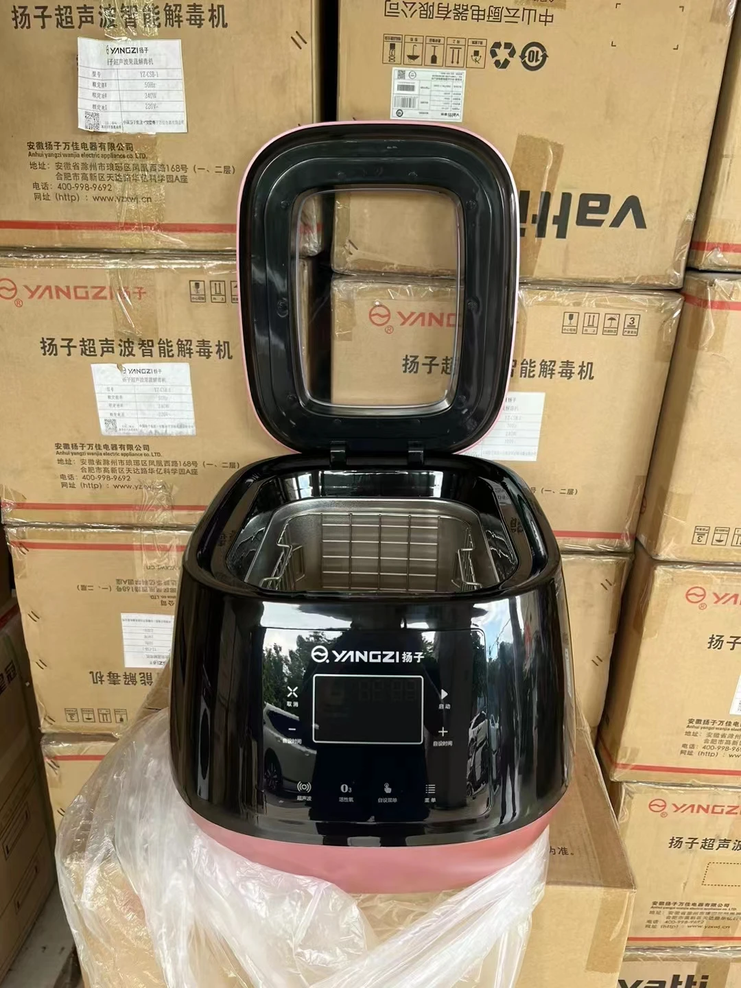 OEM/ODM Vegetable Washing Household Detoxification Active Oxygen Fruit and Vegetable Disinfection Machine Detoxification Machine