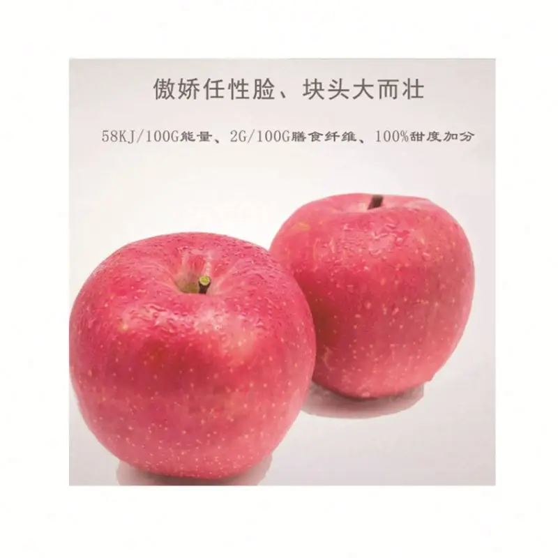 Manufacturer Supply Shandong Fresh Fruit Organic Red Fuji Apple