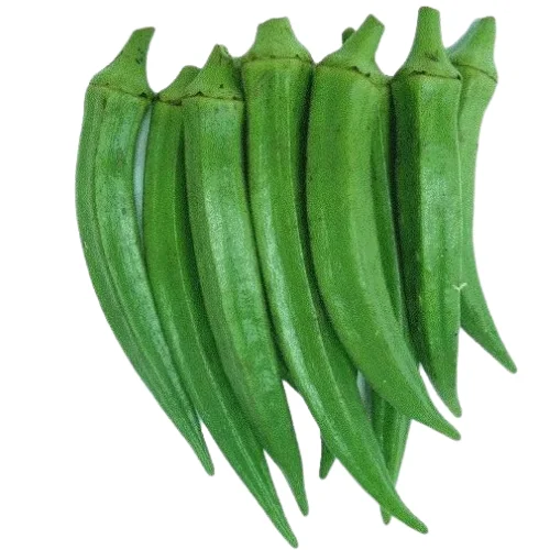 HOT HOT HOT!!! FROZEN LADY FINGER WITH BEST PRICE HIGH QUANTITY FOR EXPORTING FROM VIETNAM